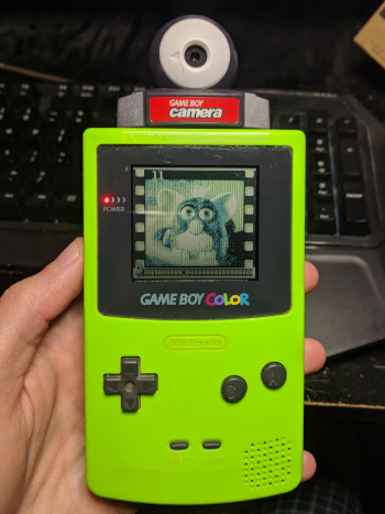 A Game Boy Color with Camera inserted, displaying a picture of an original Furby.